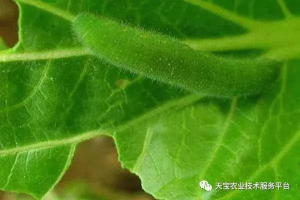 史上最全配药秘方