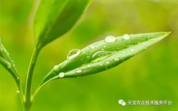 史上最全配药秘方