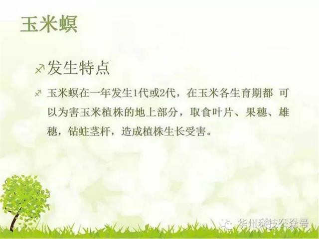 玉米病虫害防治技术（下）
