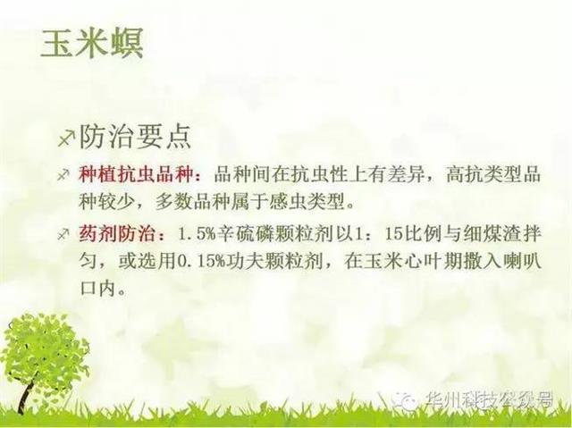 玉米病虫害防治技术（下）