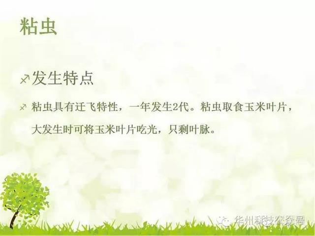 玉米病虫害防治技术（下）