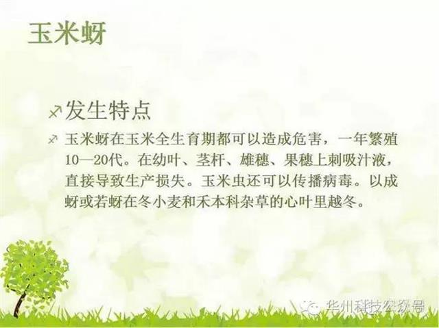 玉米病虫害防治技术（下）