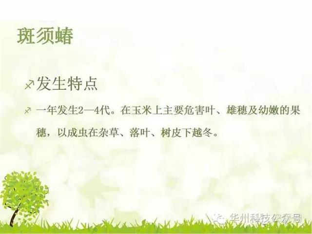 玉米病虫害防治技术（下）