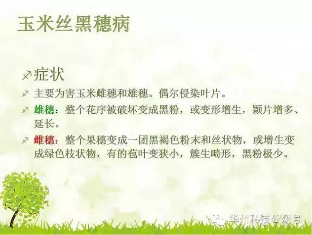 玉米病虫害防治图谱（上）