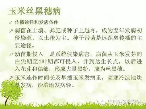 玉米病虫害防治图谱（上）