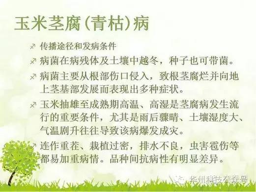 玉米病虫害防治图谱（上）