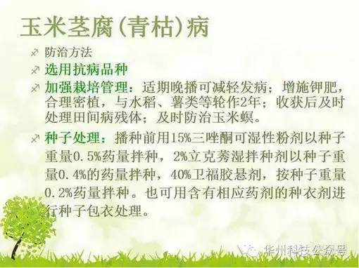 玉米病虫害防治图谱（上）