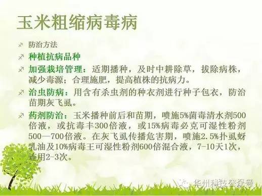 玉米病虫害防治图谱（上）
