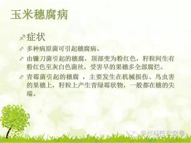玉米病虫害防治图谱（上）