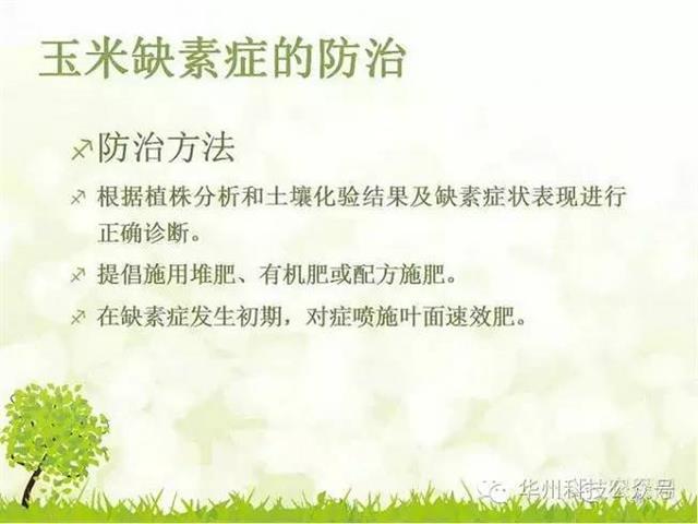 玉米病虫害防治图谱（上）
