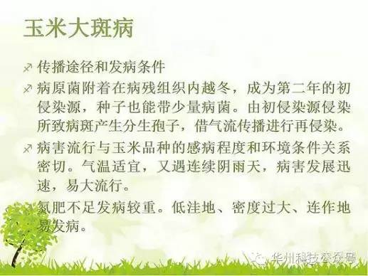 玉米病虫害防治图谱（上）
