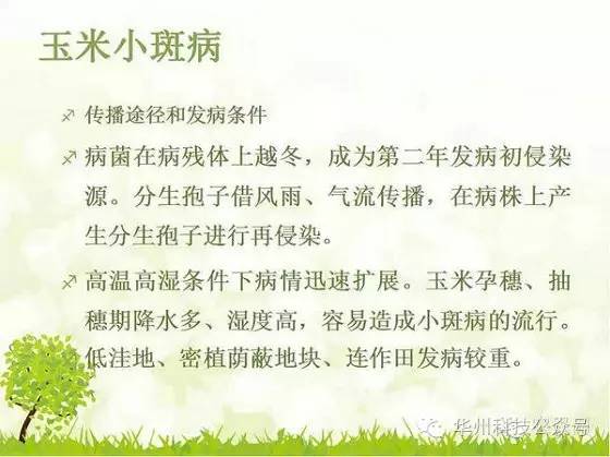 玉米病虫害防治图谱（上）