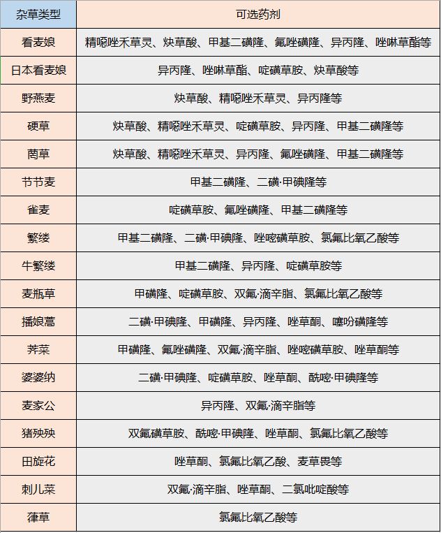 开春，麦田除草大指南！