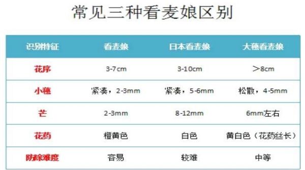 开春，麦田除草大指南！