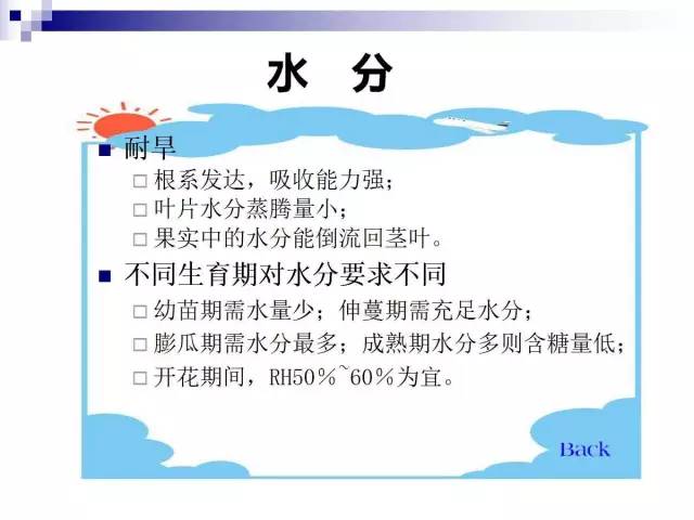 34个课件讲述种植西瓜