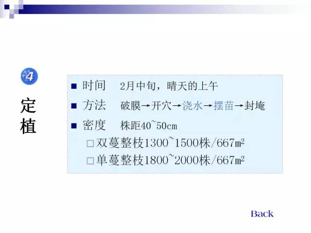 34个课件讲述种植西瓜
