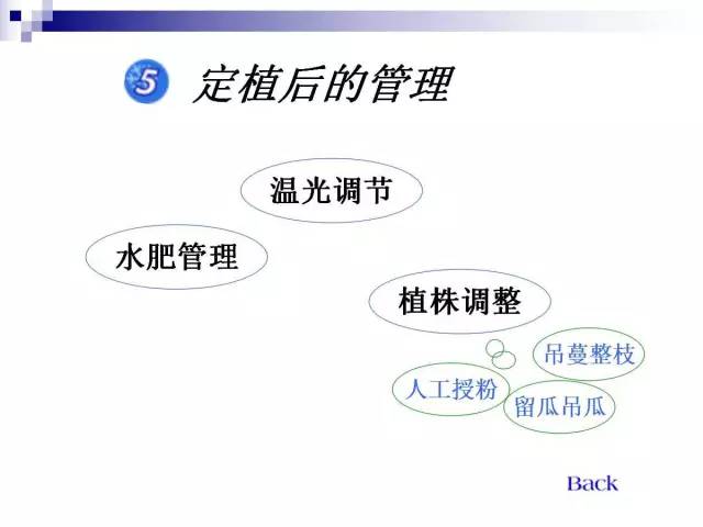 34个课件讲述种植西瓜