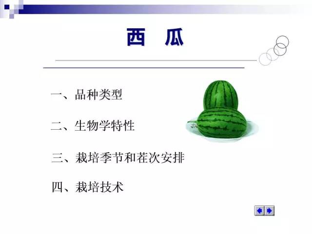 34个课件讲述种植西瓜