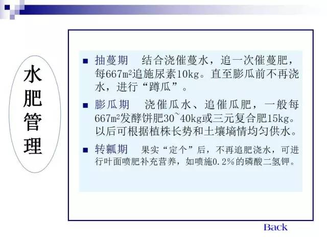 34个课件讲述种植西瓜