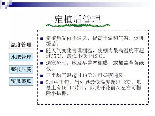 34个课件讲述种植西瓜