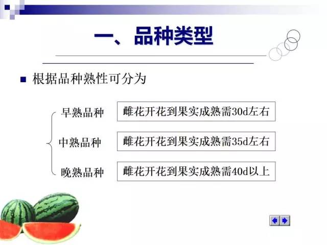 34个课件讲述种植西瓜