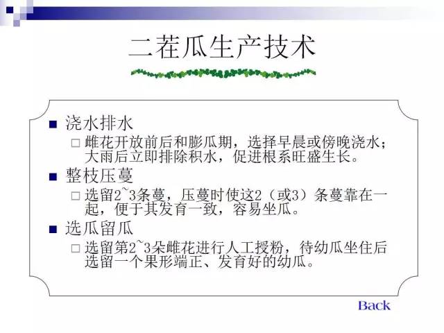 34个课件讲述种植西瓜