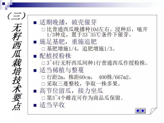 34个课件讲述种植西瓜
