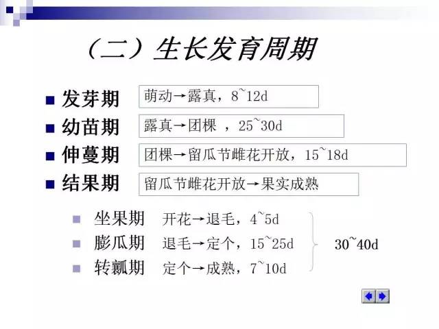 34个课件讲述种植西瓜