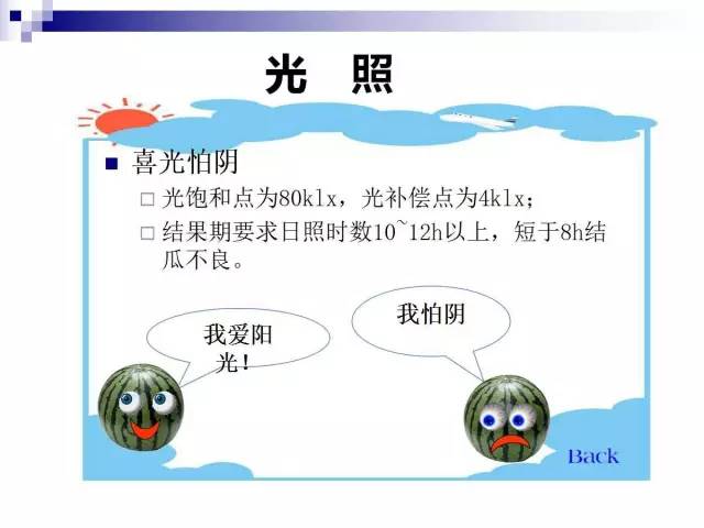 34个课件讲述种植西瓜