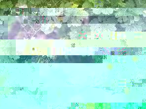 果树核心营养元素-镁、铁(视频)