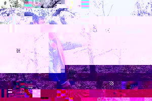 怎样生产全红的富士苹果 ?