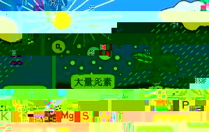 果树需肥特点及施肥技术指导