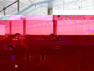 温室黄瓜管理三部曲