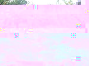 果园生草技术
