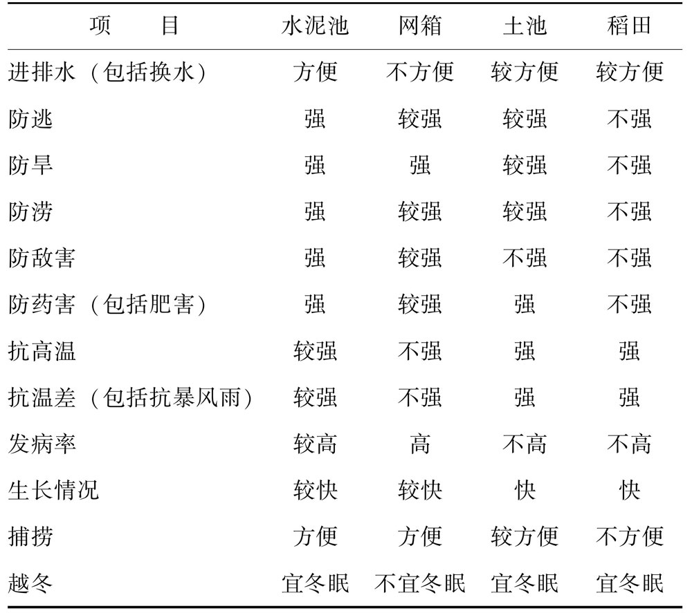 常见四种养鳝池的优与劣