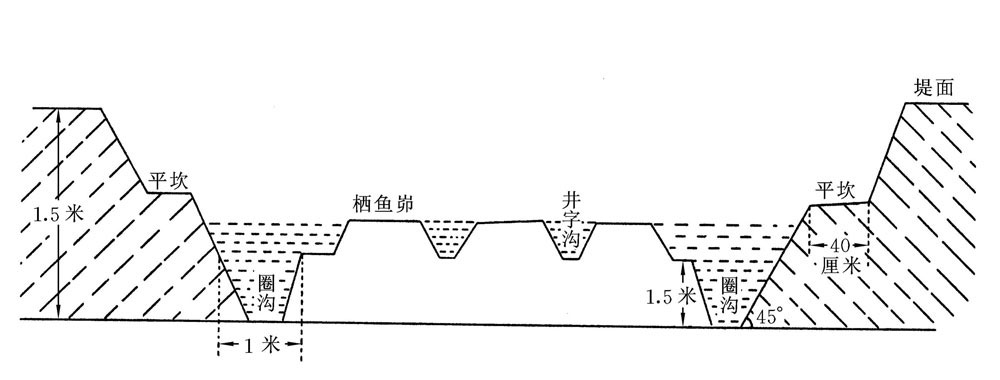 “三防”鳝蚯混养土池的修建