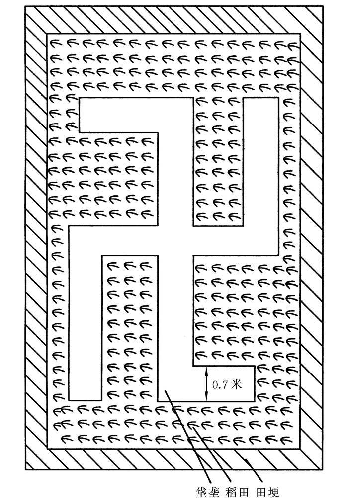 稻田垡垄栖鱼养鳝法