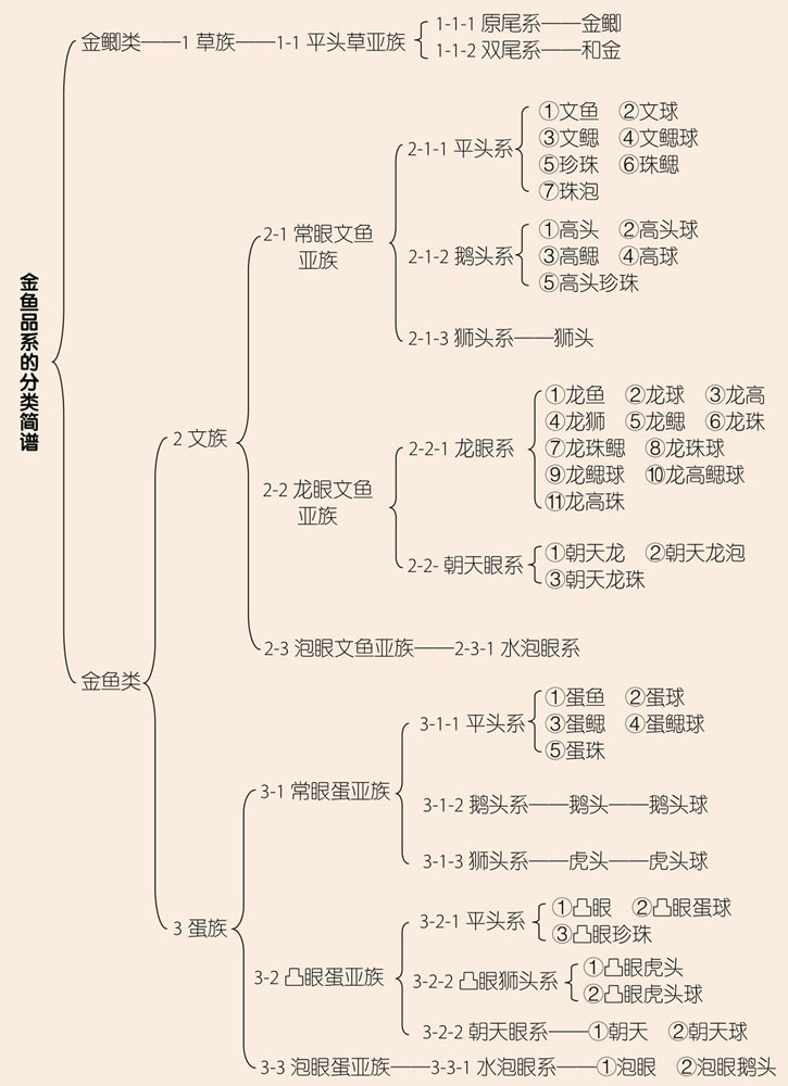 3 金鱼的分类、命名及主要品种一、金鱼分类系统