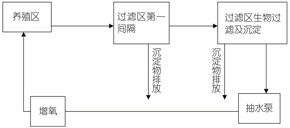 三、金鱼的生产技术